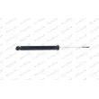 MONROE G1098 - Jeu de 2 amortisseurs arrière