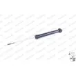 MONROE G1176 - Jeu de 2 amortisseurs arrière