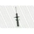 MONROE G16310 - Jeu de 2 Amortisseurs avant