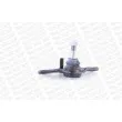 MONROE L11531 - Rotule de suspension avant droit 