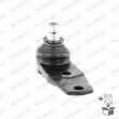 MONROE L2555 - Rotule de suspension 