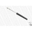 MONROE MR828 - Jeu de 2 Amortisseurs avant
