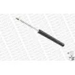 MONROE MR828 - Jeu de 2 Amortisseurs avant