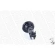 MONROE R11202 - Jeu de 2 amortisseurs avant