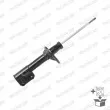 MONROE R11232 - Amortisseur arrière droit