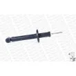 MONROE R3796 - Jeu de 2 amortisseurs arrière