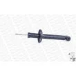 MONROE R3796 - Jeu de 2 amortisseurs arrière