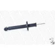 MONROE R3796 - Jeu de 2 amortisseurs arrière