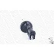 MONROE R7610 - Jeu de 2 Amortisseurs avant