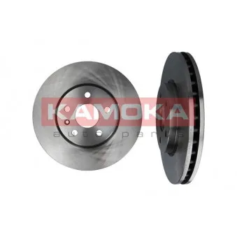 Jeu de 2 disques de frein arrière KAMOKA OEM 569077