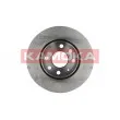 KAMOKA 1032260 - Jeu de 2 disques de frein avant
