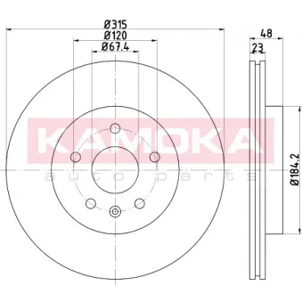 Jeu de 2 disques de frein arrière KAMOKA OEM 13501303