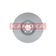KAMOKA 103300 - Jeu de 2 disques de frein avant