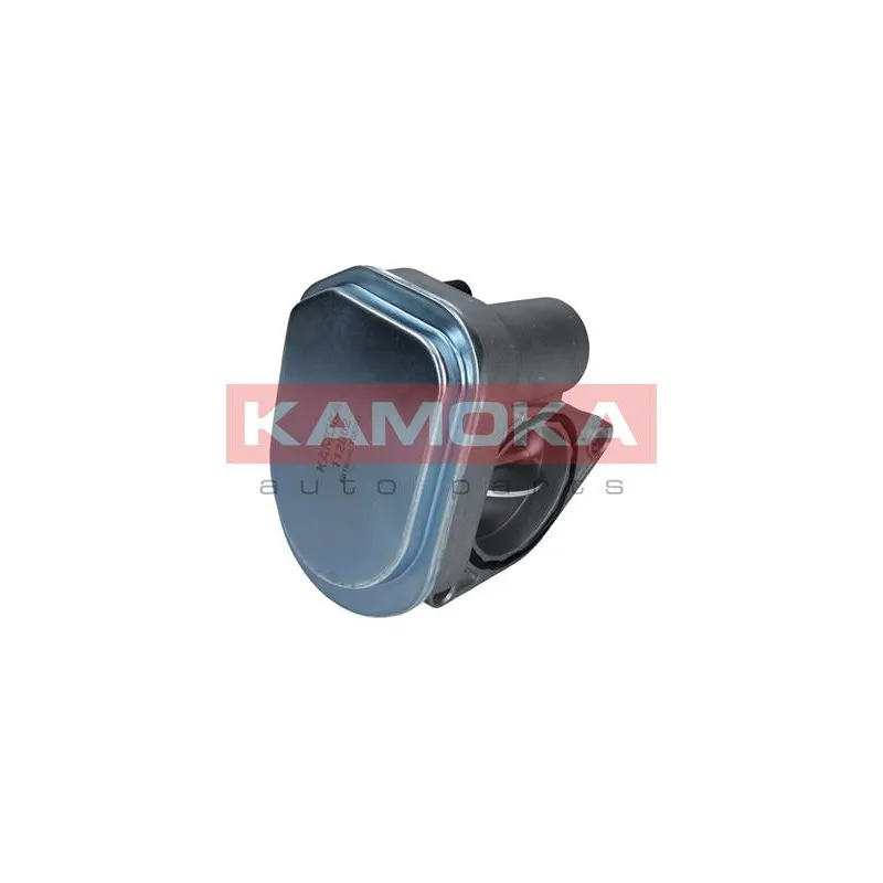 Corps papillon KAMOKA 112002 - Visuel 2