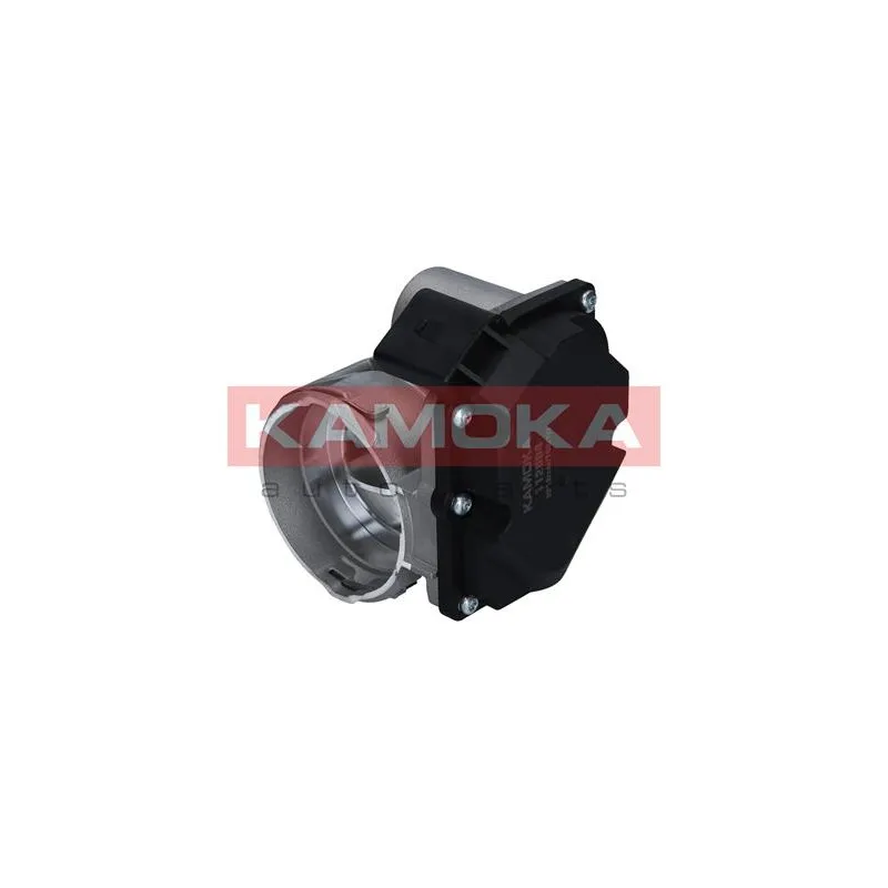 Corps papillon KAMOKA 112004 - Visuel 1