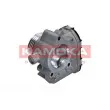 KAMOKA 112020 - Corps papillon