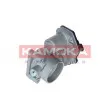 KAMOKA 112023 - Corps papillon