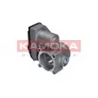 KAMOKA 112024 - Corps papillon