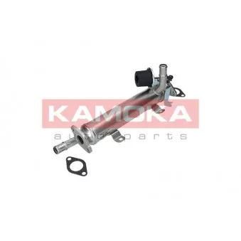 Radiateur, réaspiration des gaz d'échappement KAMOKA OEM 03L131512B