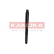 KAMOKA 2000005 - Jeu de 2 amortisseurs arrière