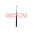KAMOKA 2000030 - Jeu de 2 amortisseurs arrière