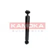 KAMOKA 2000045 - Jeu de 2 amortisseurs arrière