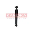 KAMOKA 2000045 - Jeu de 2 amortisseurs arrière