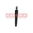 KAMOKA 2000610 - Jeu de 2 amortisseurs avant
