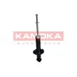 Jeu de 2 amortisseurs arrière KAMOKA [2000613]