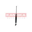 KAMOKA 2000676 - Jeu de 2 amortisseurs avant