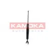 KAMOKA 2000676 - Jeu de 2 amortisseurs avant