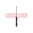 KAMOKA 2000689 - Jeu de 2 amortisseurs arrière