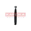KAMOKA 2000694 - Jeu de 2 amortisseurs arrière