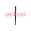 KAMOKA 2000721 - Jeu de 2 amortisseurs arrière