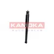 KAMOKA 2000722 - Jeu de 2 amortisseurs arrière
