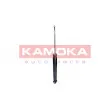 KAMOKA 2000746 - Jeu de 2 amortisseurs arrière