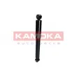 KAMOKA 2000756 - Jeu de 2 amortisseurs arrière