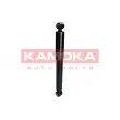 KAMOKA 2000756 - Jeu de 2 amortisseurs arrière