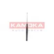 KAMOKA 2000765 - Jeu de 2 amortisseurs arrière