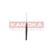 KAMOKA 2000765 - Jeu de 2 amortisseurs arrière