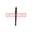KAMOKA 2000772 - Jeu de 2 amortisseurs arrière