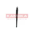 KAMOKA 2000777 - Jeu de 2 amortisseurs arrière