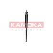 KAMOKA 2000777 - Jeu de 2 amortisseurs arrière
