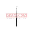KAMOKA 2000780 - Jeu de 2 amortisseurs arrière
