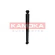 KAMOKA 2000793 - Jeu de 2 amortisseurs arrière
