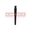 KAMOKA 2000798 - Jeu de 2 amortisseurs arrière