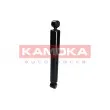 KAMOKA 2000859 - Jeu de 2 amortisseurs arrière