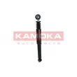 KAMOKA 2000861 - Jeu de 2 amortisseurs arrière