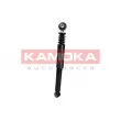 KAMOKA 2000861 - Jeu de 2 amortisseurs arrière