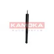 KAMOKA 2000866 - Jeu de 2 amortisseurs arrière